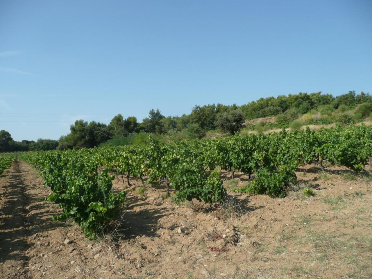 Gite Du Serre De Boudre Climatise, Spa Permanent Buisson Exterior photo